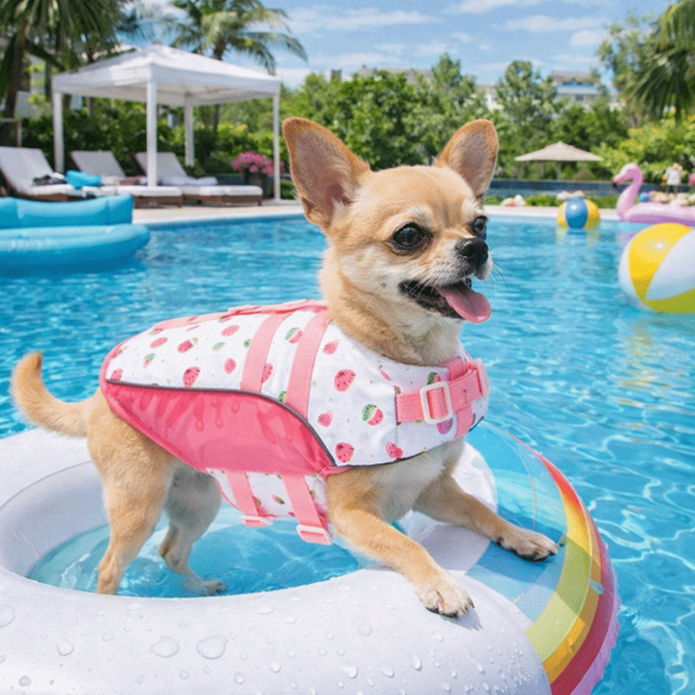 Adjustable Dog Life Jacket Hig - огляд і ціна Life Jacket Buoyancy