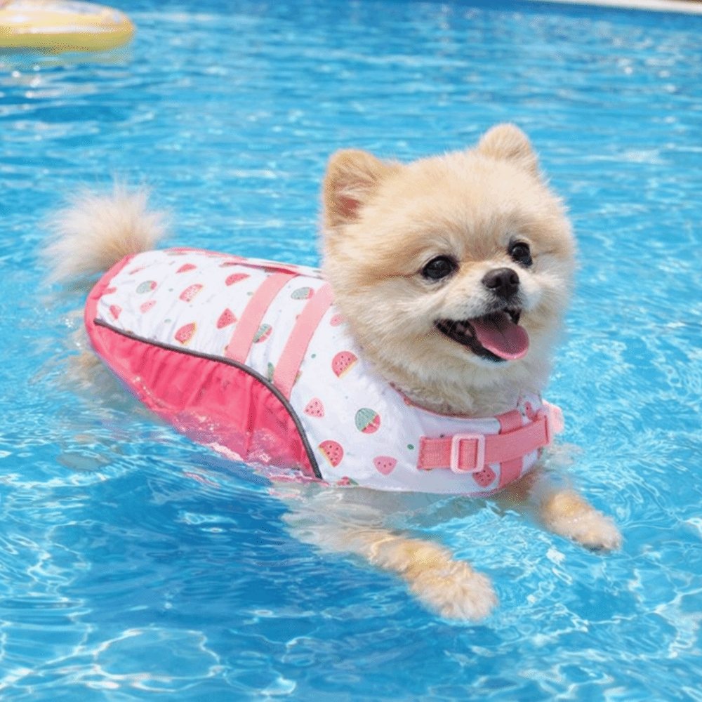 Adjustable Dog Life Jacket Hig - огляд і ціна Life Jacket Buoyancy